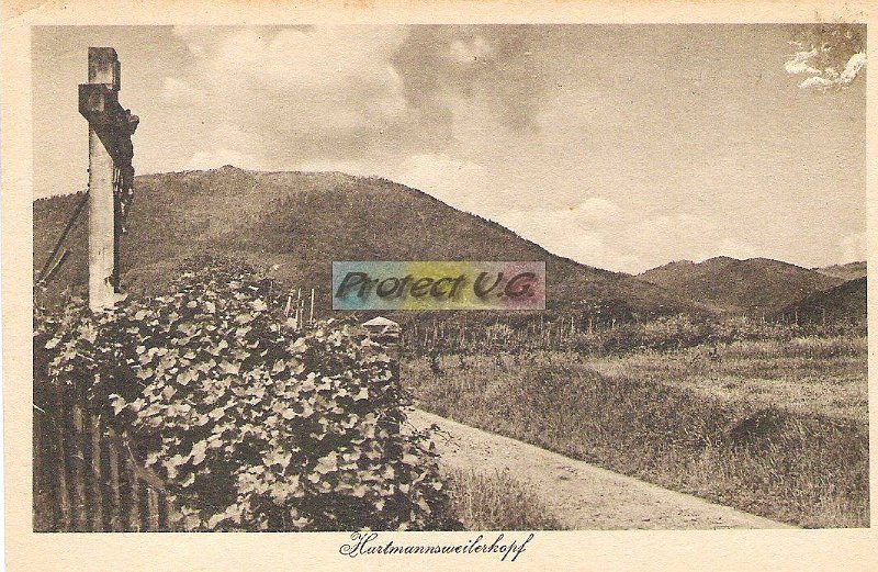 Cartes